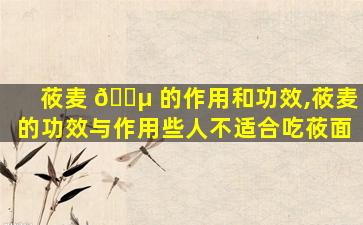 莜麦 🌵 的作用和功效,莜麦的功效与作用些人不适合吃莜面